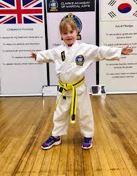 Image result for Phil Little Choi Kwang Do Academy