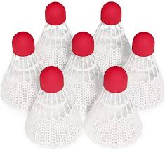 Image result for New Eagles Badminton Club