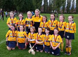 Image result for Bredagh G A C