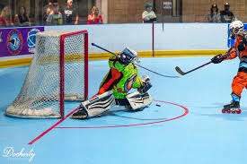 Image result for Vipers Roller Hockey Team