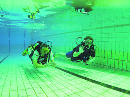 Image result for Stalybridge Snorkel Club