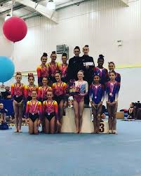 Image result for Wiltshire School Of Gymnastics