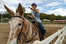 Image result for Winchester Riding Club