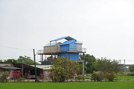 Image result for Meridian Racing Pigeon Lofts