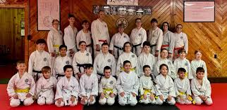 Image result for Inyo Karate Do Ninbukan