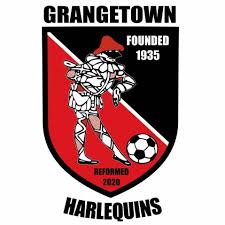 Image result for Cardiff Harlequins