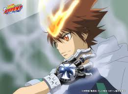 「沢田奈々 家庭教師ヒットマンREBORN!」の画像検索結果