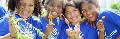 Image result for The Combe Martin Institute Club