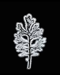 Image result for Jakub Jodko-Narkiewicz Kirlian