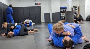 Image result for Precision Martial Arts