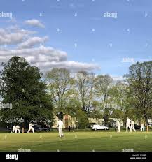 Image result for Shalford Cricket Club