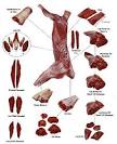 Kangaroo Cuts