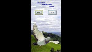 Image result for Meridian Racing Pigeon Lofts