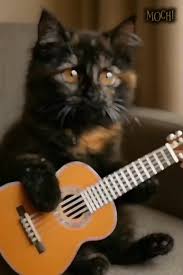 Image result for Cat sleeping in guitar