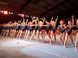 Image result for Heathrow Gymnastics Club