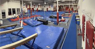 Image result for Goring Gymnastics Club