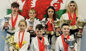 Image result for Swansea Taekwondo Club