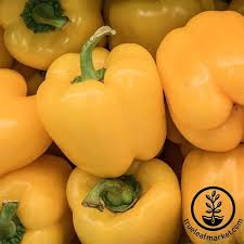 Afbeeldingsresultaat voor baby yellow sweet pepper