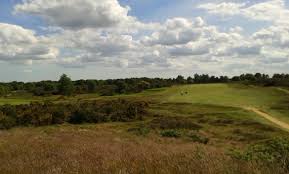 Image result for Rushmere Golf Club