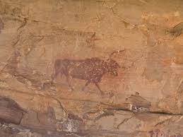 Image result for "Selva Pascuala"