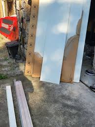 Image result for pax birkeland