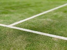 Image result for Capel Lawn Tennis Club