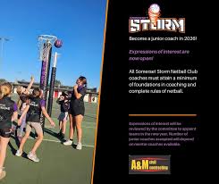 Image result for Storm Junior Netball Club