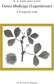 Attēlu rezultāti vaicājumam “Leguminosae”