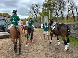 Image result for Cambridge and Newmarket Polo Club