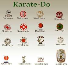 Image result for Charnwood Shoto Ryu Karate kai
