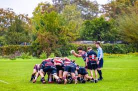 Image result for Dunstablians Rugby Union Football Club