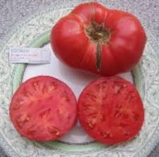 Afbeeldingsresultaat voor stump of the world tomato