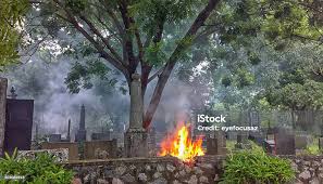 Image result for Graves Flames