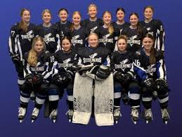 Image result for Kenley Hockey Club