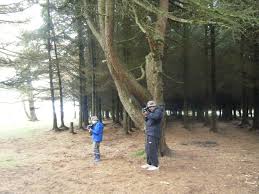 Image result for Paintball Trax, Lancashire