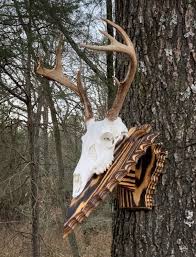 Image result for Burntwood Archers