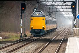 Image result for koploper