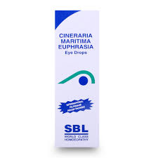 Image result for Cineraria maritima