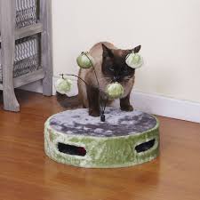 Image result for limecat