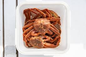 Image result for Chionoecetes opilio