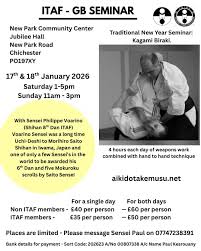 Image result for Goryukai Aikido Yoshinkan (Chichester)