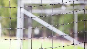 Image result for Chipstead Coulsdon & Walcountians Cc