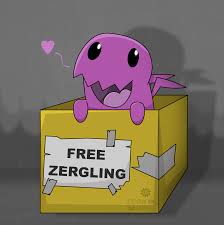 Image result for zergling