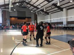 Image result for Chesterfield Cobras Volleyball Club