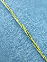 Attēlu rezultāti vaicājumam “Glyceria fluitans”