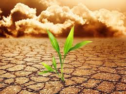 Image result for pemanasan global