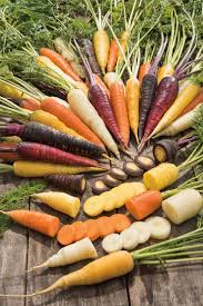 Image result for Möhren