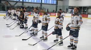 Image result for Havering Skater Hockey Club