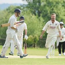 Image result for Aston Ingham Cricket Club
