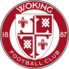 Image result for Old Wokingians Football Club